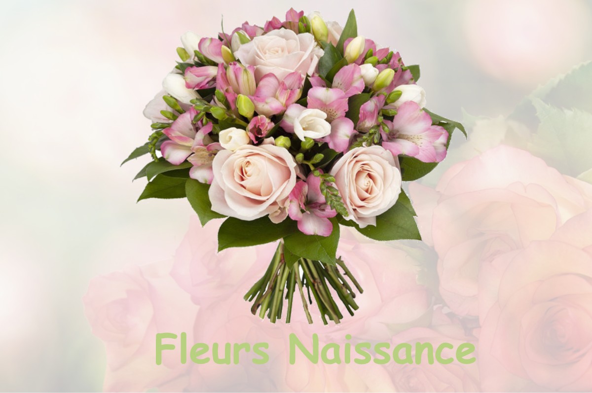 fleurs naissance SAINT-HILAIRE-LE-PETIT