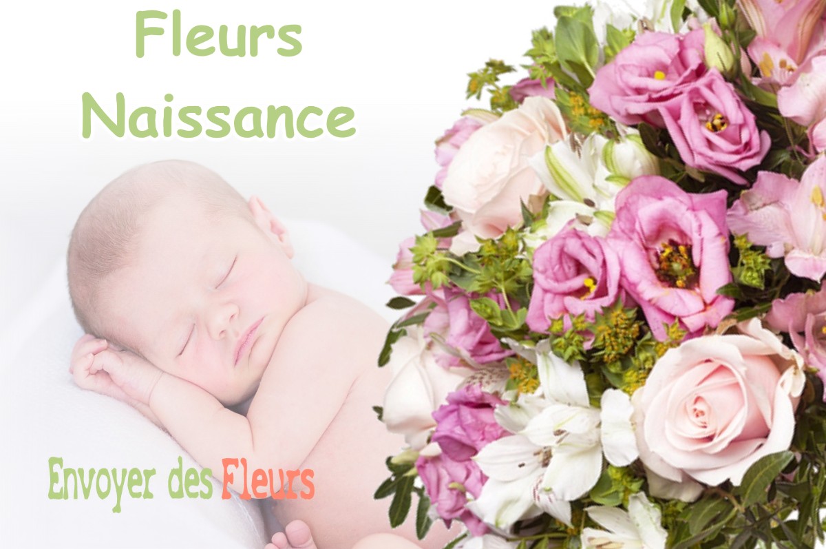 lIVRAISON FLEURS NAISSANCE à SAINT-HILAIRE-LE-PETIT